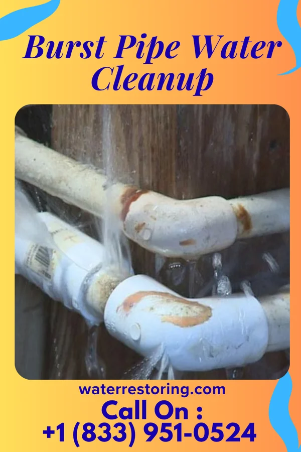 Burst Pipe Water Cleanup in Bridgewater, VA