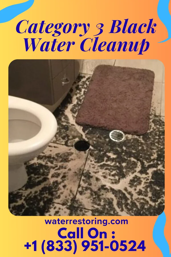 Category 3 Black Water Cleanup in Bridgewater, VA