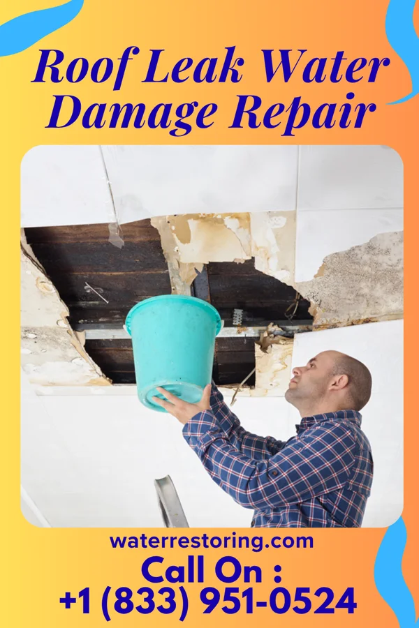 Roof Leak Water Damage Repair in Bridgewater, VA