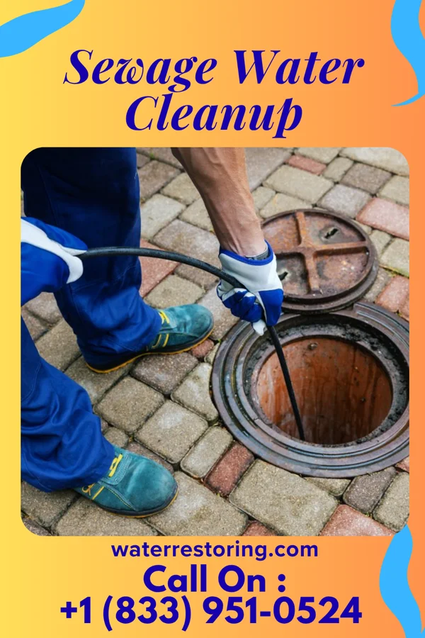 Sewage Water Cleanup in Bridgewater, VA