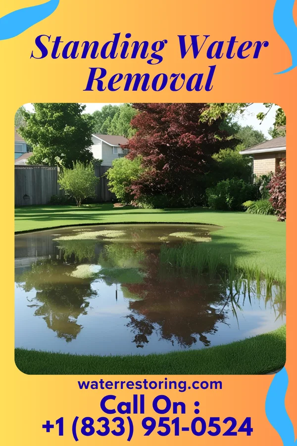 Standing Water Removal in Bridgewater, VA